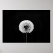 Impression Dandelion (Devant)
