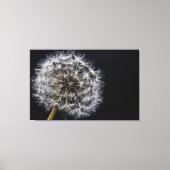 Impression Dandelion Art (Recto)