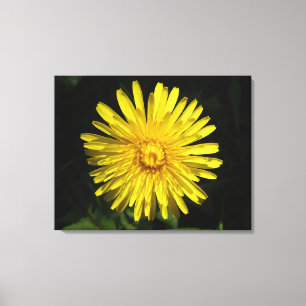 Impression Dandelion Canvas
