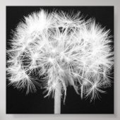 Impression Dandelion Canvas (Devant)