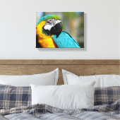 Impression d'ara, Papier pour affiche de valeur (m (Insitu(Chambre))