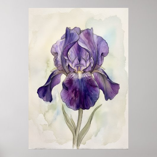 Impression d'art à l'aquarelle Iris Violet | Flora (Devant)