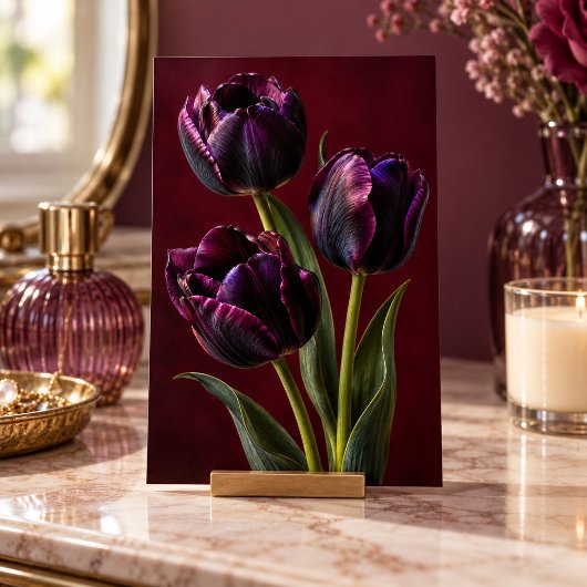 Impression d'art à l'heure du velours de tulipe no