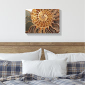 Impression d'art ammonique (Insitu(Chambre))