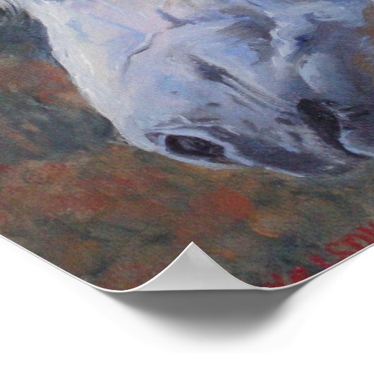 Impression d'art blanc Mustang (Coin)