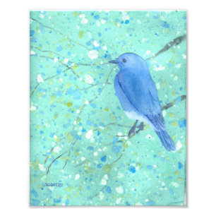 Impression d'art Bluebird