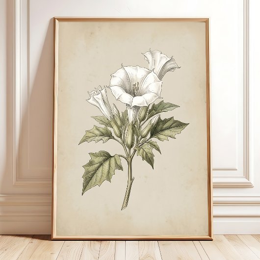 Impression d'art botanique Datura vintage