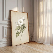 Impression d'art botanique Datura vintage