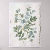 Impression d'art botanique d'eucalyptus à l'aquare (Devant)