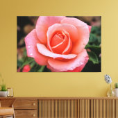 Impression d'art botanique Rose romantique (Insitu(Salon))