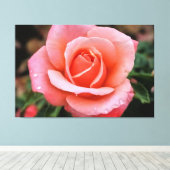 Impression d'art botanique Rose romantique (Insitu (Plancher de Bois))