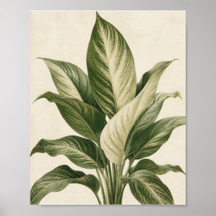 Impression d'art botanique tropical minimaliste –