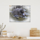 Impression d'art : Canard noir (Cuisine)