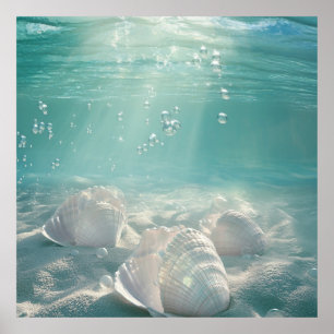 Impression d'art coquillage vert écume de mer prem