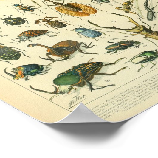 Impression d'art couleur vintage (Coin)