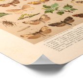 Impression d'art couleur vintage (Coin)