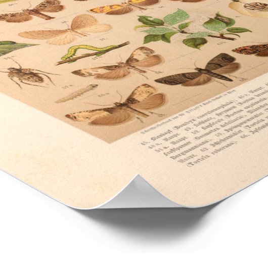 Impression d'art couleur vintage (Coin)