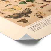 Impression d'art couleur vintage (Coin)