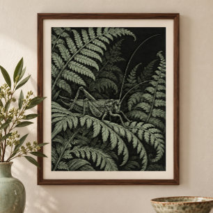 Impression d'art Cricket in the Ferns
