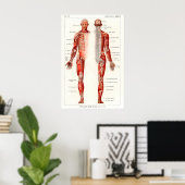 Impression d'art d'anatomie humaine antique du 19e (Bureau à domicile)