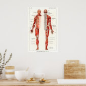 Impression d'art d'anatomie humaine antique du 19e (Cuisine)