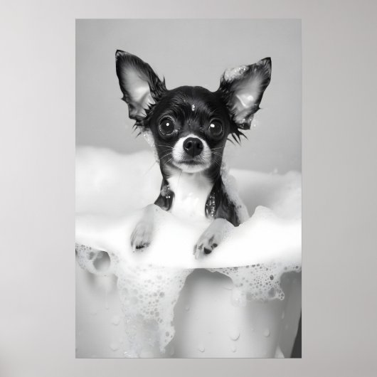 Impression d'art de bain moussant de Chihuahua, Ch (Devant)
