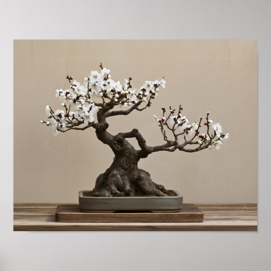 Impression d'art de bonsaï de prunier blanc | Art (Devant)