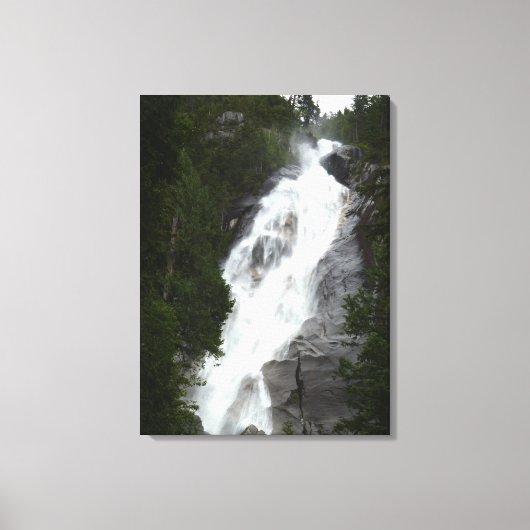 Impression d'art de cascade Chutes Shannon BC Toil (Recto)