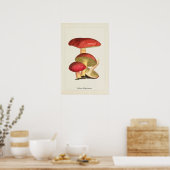 Impression d'art de champignon antique (Cuisine)