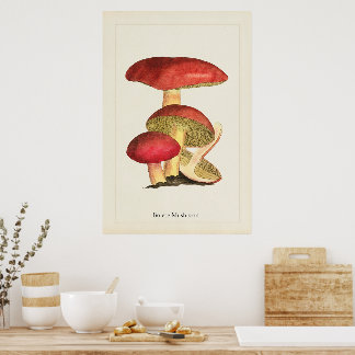 Impression d'art de champignon antique