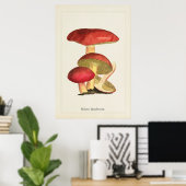 Impression d'art de champignon antique (Bureau à domicile)