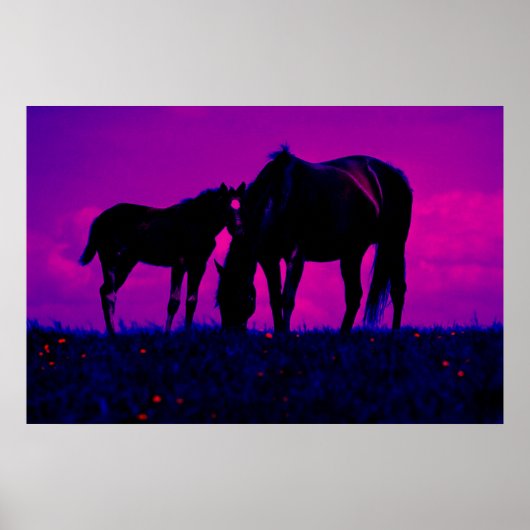 Impression d'art de cheval et de pouliche (Devant)