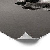 Impression d'art de chien de mode Akita (Coin)
