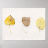 Impression d'art de feuilles d'automne minimaliste (Devant)
