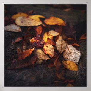 Impression d'art de feuilles d'automne tombées