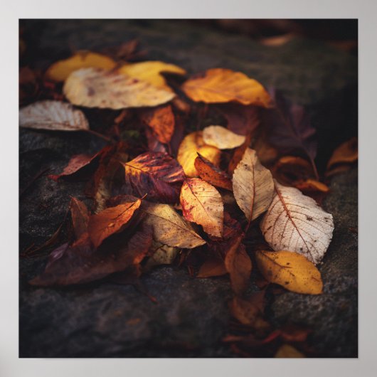 Impression d'art de feuilles d'automne tombées (Devant)