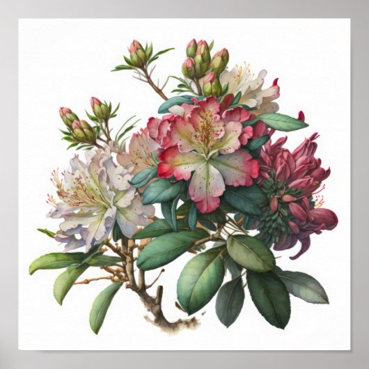Impression d'art de fleurs de rhododendron rose (Devant)