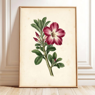 Impression d'art de galerie botanique vintage