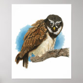 Impression d'art de Hibou Spectacled (Devant)