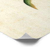 Impression d'art de l'Iris Bleu Vintage et de Scho (Coin)