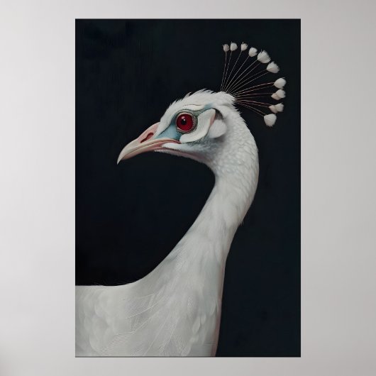Impression d'art de paon blanc, Portrait d'animal (Devant)