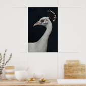 Impression d'art de paon blanc, Portrait d'animal (Cuisine)