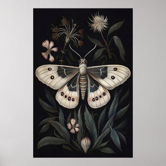 Impression d'art de papillon de nuit botanique, Af (Devant)