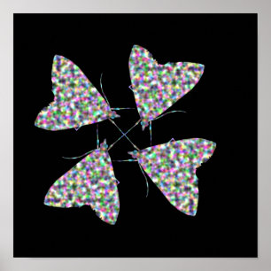 Impression d'art de papillon de nuit multicolore