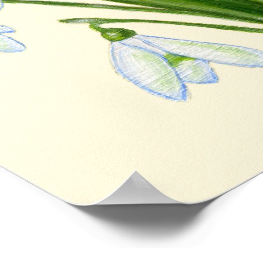 Impression d'art de perce-neige. (Coin)