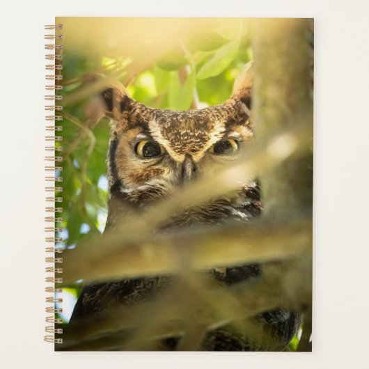 Impression d'art de photo de faune de hibou grand- (Devant)