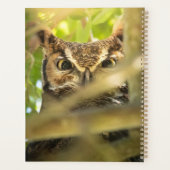 Impression d'art de photo de faune de hibou grand- (Dos)