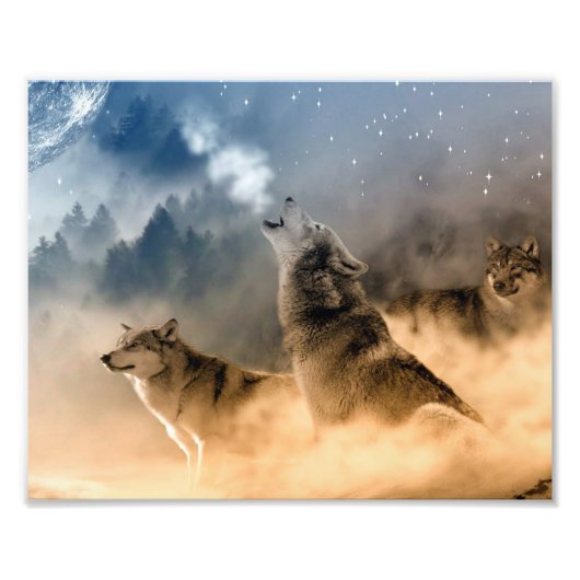 Impression d'art de photo de loups (Devant)