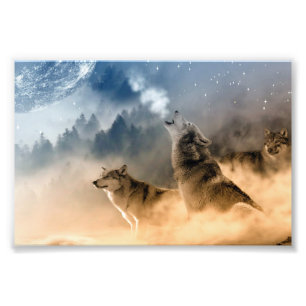 Impression d'art de photo de loups