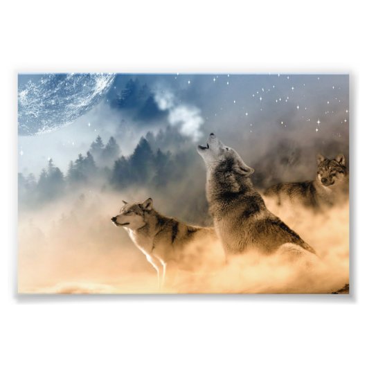 Impression d'art de photo de loups (Devant)